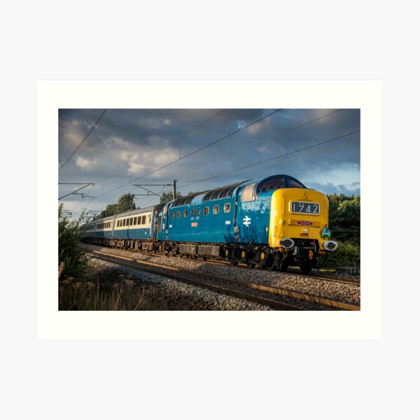 D9009 Alycidon Art Print
