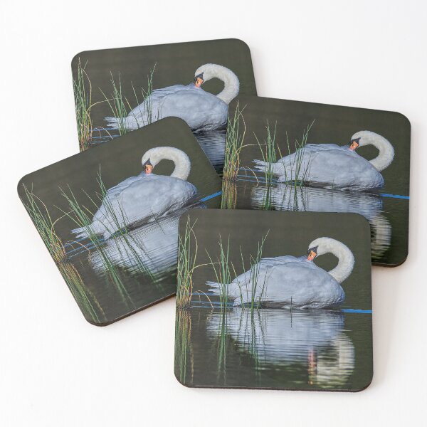 Item preview, The mute swan designed and sold by Tom McPherson Photography.