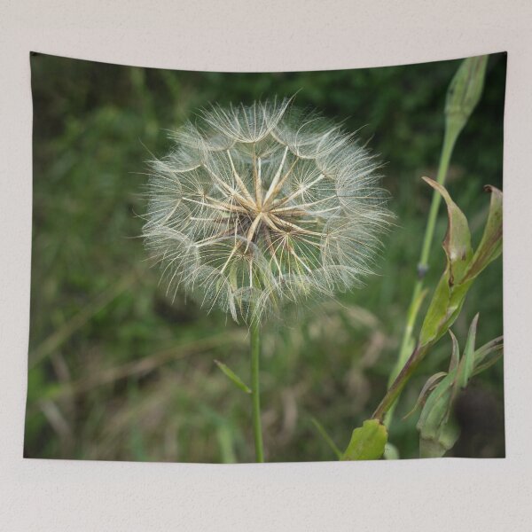Item preview, Captured Wishes designed and sold by Julie Navitka.