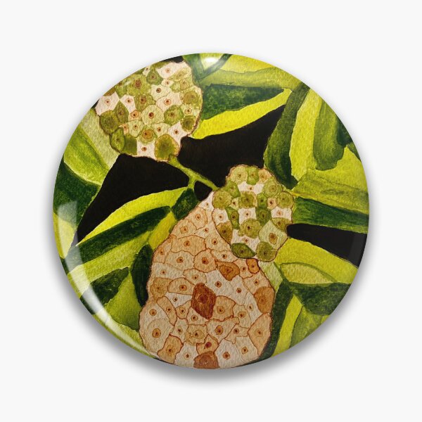 Item preview, Noni Mulberry (Morinda citrifolia) designed and sold by Violetheia.