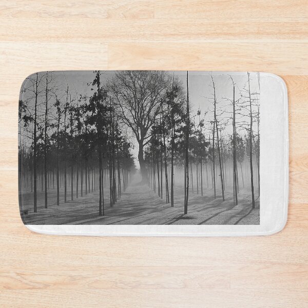 Item preview, Misty Tree Avenue in Winter – Black and White Photography designed and sold by Pjotre7.