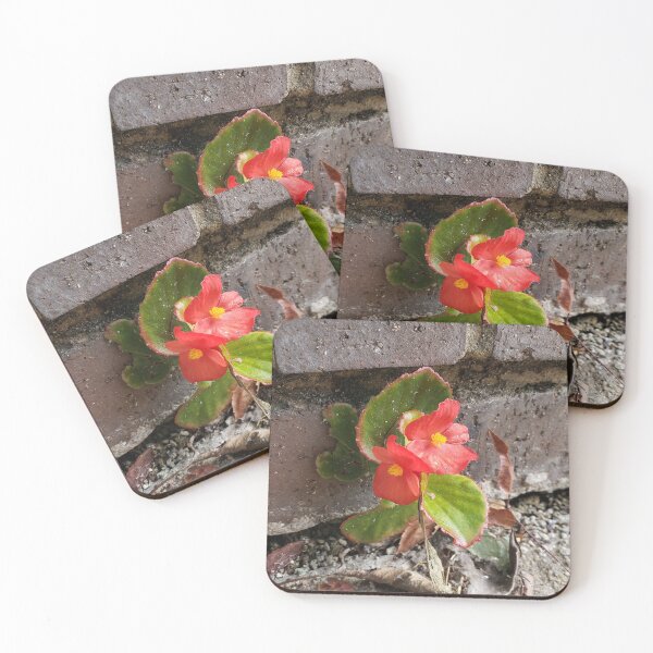 Item preview, Red Wax Begonia on the Sidewalk 2 designed and sold by concretebotany.