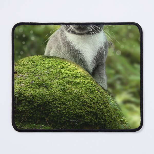 Item preview, grey and white cat forest bathing designed and sold by Bluejayarts.