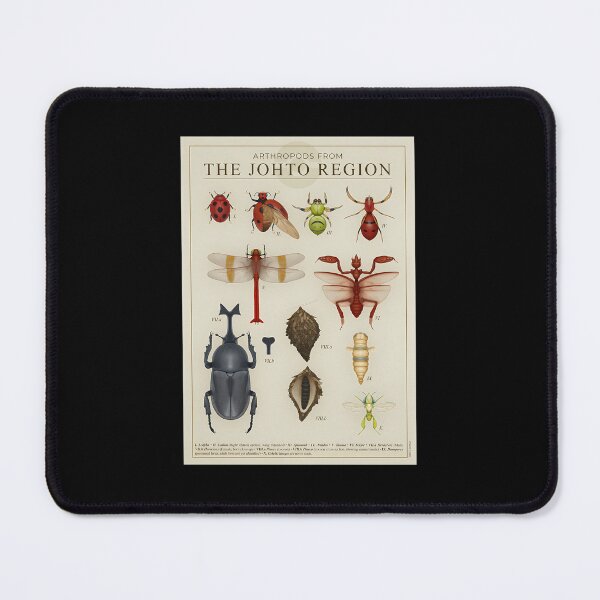 Item preview, Arthropods-From-Johto designed and sold by ansonber.