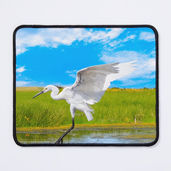 Item preview, White Crane Landing designed and sold by JohnKarmouche.