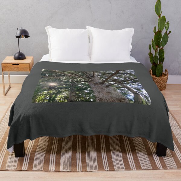 Item preview, Sun through the Pine Trees designed and sold by Amanda1775.