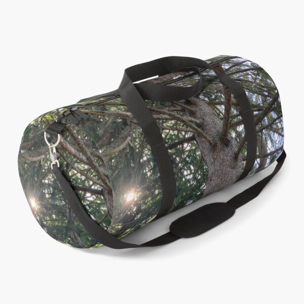 Item preview, Sun through the Pine Trees designed and sold by Amanda1775.