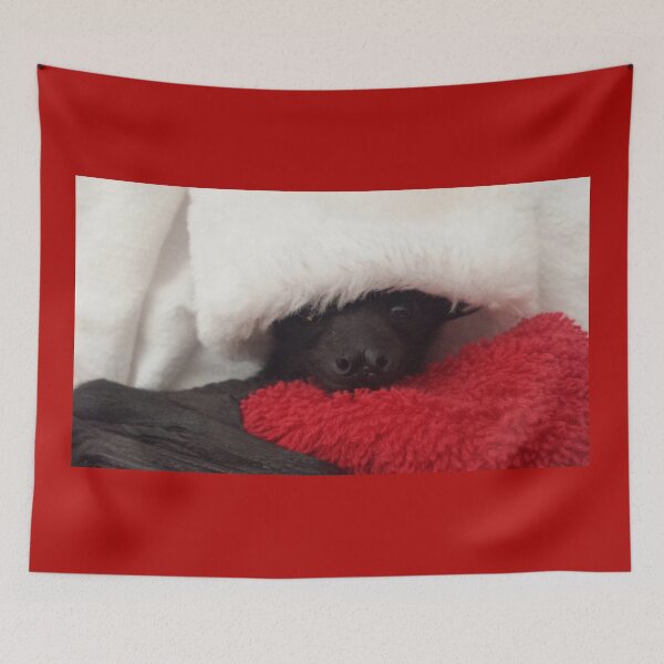 Item preview, Christmas Bat Not Just For Halloween . designed and sold by BabyBats.