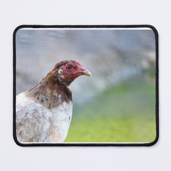 Item preview, A chicken up close designed and sold by OzzyluArt.