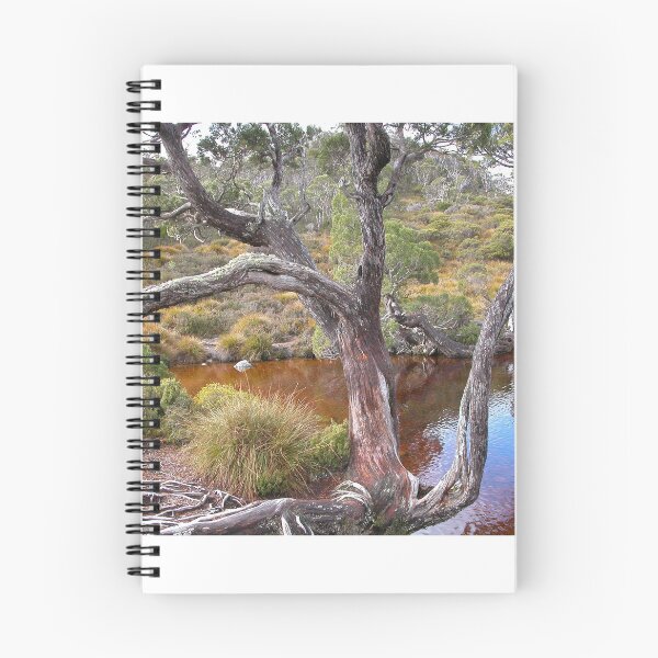 Item preview, The Wombat Pool, Cradle Mountain, Tasmania, Australia. designed and sold by kaysharp.