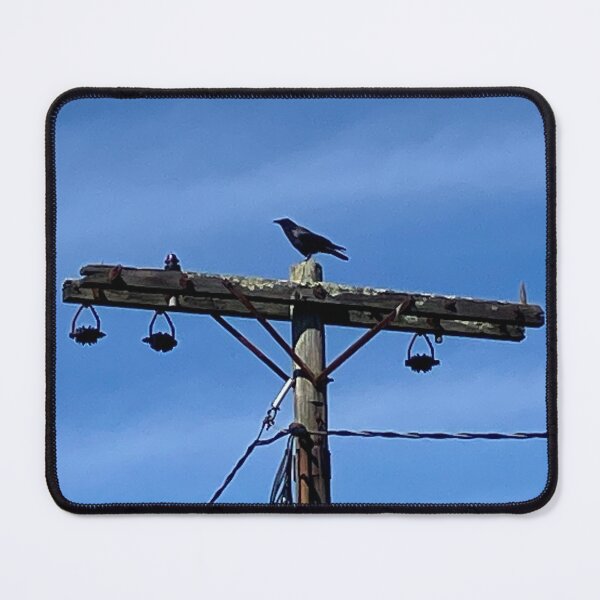 Item preview, Crow on a Telephone Pole  designed and sold by Amanda1775.