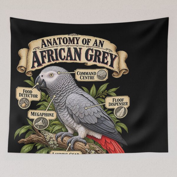 Item preview, Anatomy of an African Grey Parrot designed and sold by Knightzoro Studio.