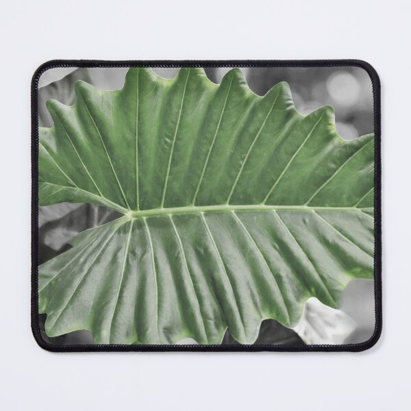 Item preview, Black and White Leaves Art Print Set – Abstract Botanical Wall Decor designed and sold by REVOLVE ART 67.