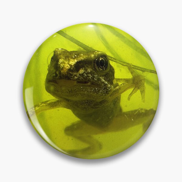 Item preview, Eye to eye with a frog!  designed and sold by Ian-M-Stevens.