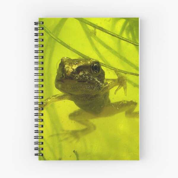 Item preview, Eye to eye with a frog!  designed and sold by Ian-M-Stevens.