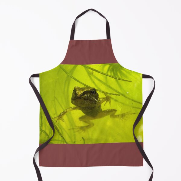 Item preview, Eye to eye with a frog! designed and sold by Ian-M-Stevens.