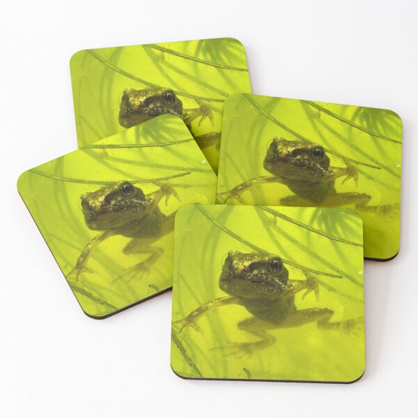 Item preview, Eye to eye with a frog!  designed and sold by Ian-M-Stevens.