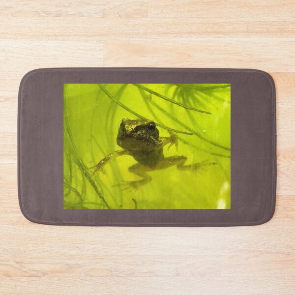 Item preview, ¡Cara a cara con una rana! designed and sold by Ian-M-Stevens.