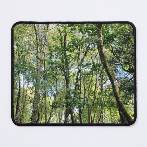 Item preview, woodland designed and sold by KathleenDawson.