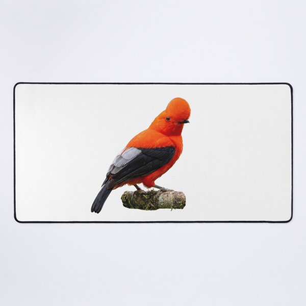 Item preview, Andean Cock-of-the-Rock – Blazing Cloud Forest Bird designed and sold by Helt-enkelt.