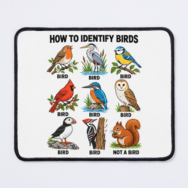 Item preview, How to Identify Birds Funny Birding Birder designed and sold by andre-hollow.