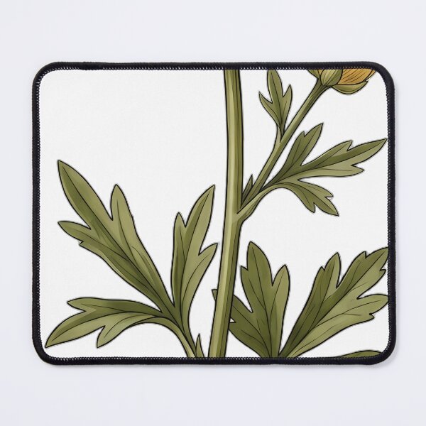 Item preview, Vintage Naturalist Buttercup — Antique Botanical Plate designed and sold by Catch333.