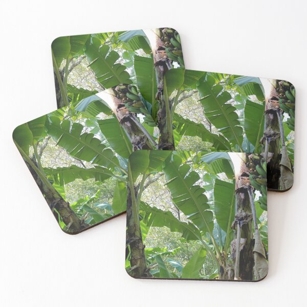 Item preview, "Tropical Banana Palm: Green Canopy & Jungle Light" designed and sold by PicturePic.