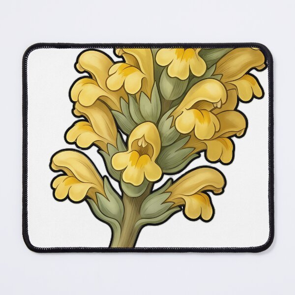 Item preview, Vintage Naturalist Yellow Rattle — Antique Botanical Plate designed and sold by Catch333.