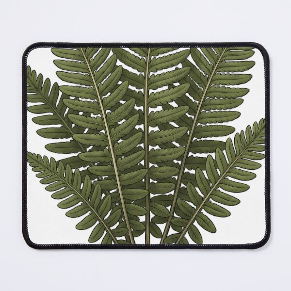 Item preview, Vintage Naturalist Male Fern — Antique Botanical Plate designed and sold by Catch333.