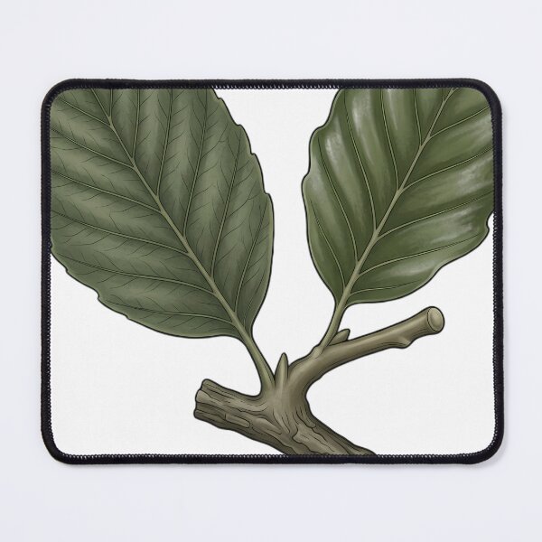 Item preview, Vintage Naturalist Silver Birch Leaf — Antique Botanical Plate designed and sold by Catch333.