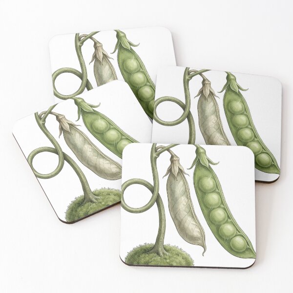 Item preview, Vintage Naturalist Sweet Pea Pod — Antique Botanical Plate designed and sold by Catch333.