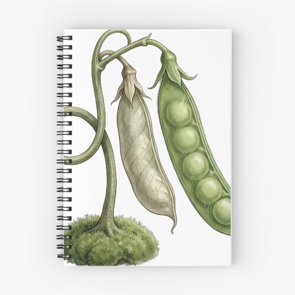 Item preview, Vintage Naturalist Sweet Pea Pod — Antique Botanical Plate designed and sold by Catch333.