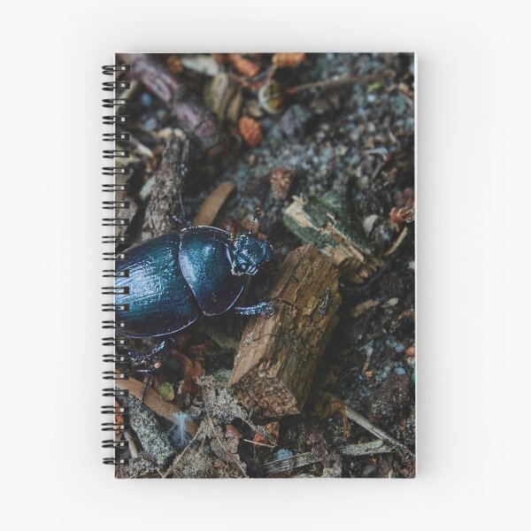 Item preview, Forest Dung Beetle designed and sold by Eidetic Photos.