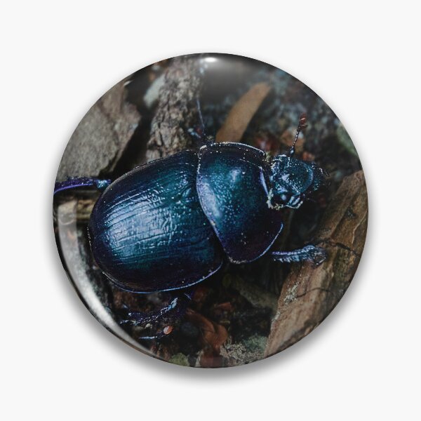 Item preview, Forest Dung Beetle designed and sold by Eidetic Photos.