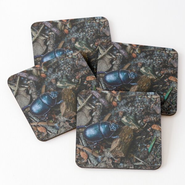 Item preview, Forest Dung Beetle designed and sold by Eidetic Photos.