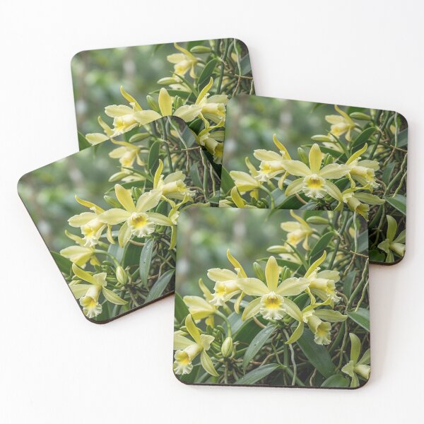Item preview, Flowers – vanilla designed and sold by snoWorkshop.