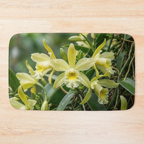 Item preview, Flowers – vanilla designed and sold by snoWorkshop.