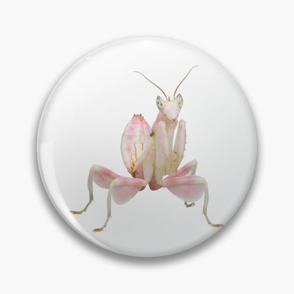 Item preview, Orchid Mantis – Pink Flower Mimic Portrait designed and sold by Helt-enkelt.