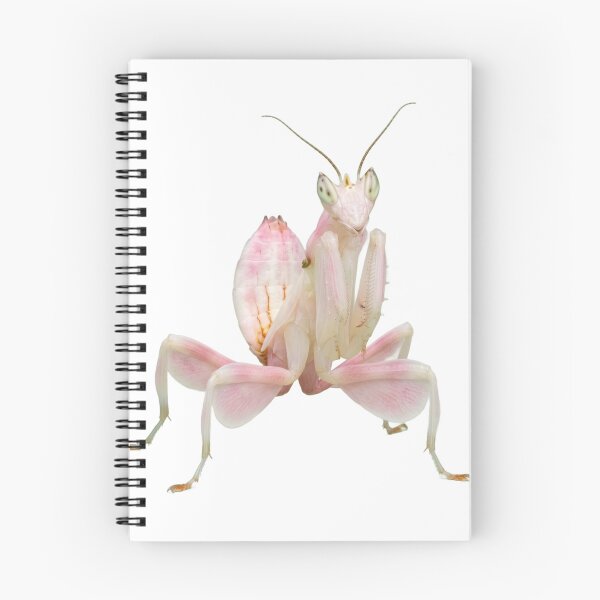 Item preview, Orchid Mantis – Pink Flower Mimic Portrait designed and sold by Helt-enkelt.