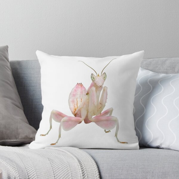 Item preview, Orchid Mantis – Pink Flower Mimic Portrait designed and sold by Helt-enkelt.