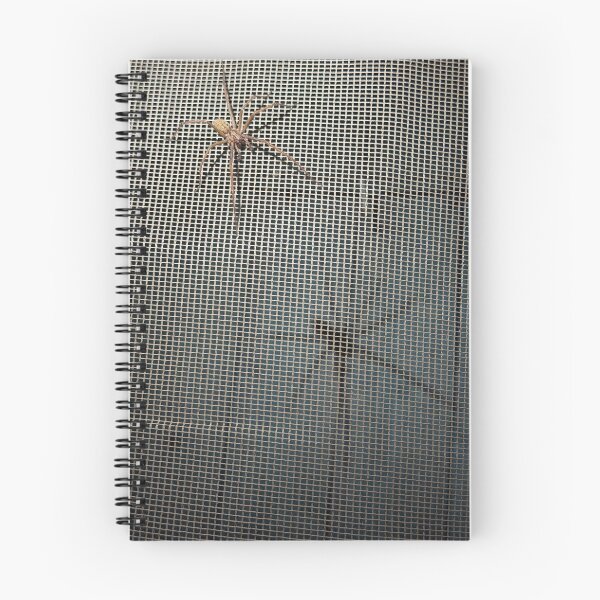 Item preview, Silhouette and Subject.  Two Spiders in One designed and sold by Astute-Artio-Photography.