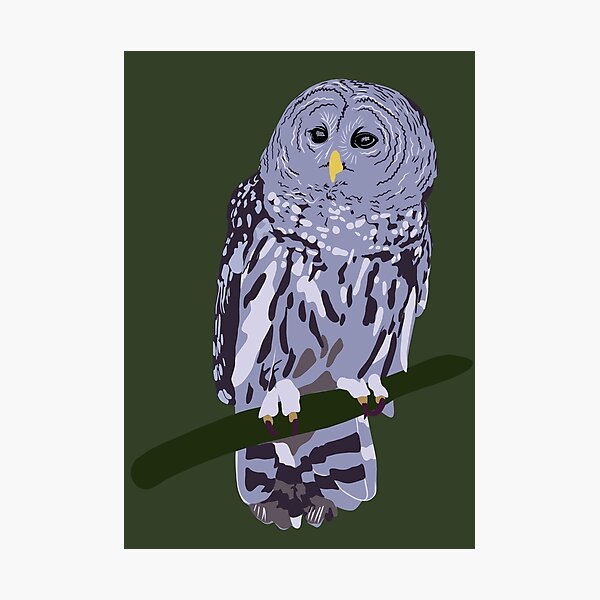 Item preview, Barred Owl designed and sold by okaymoose.