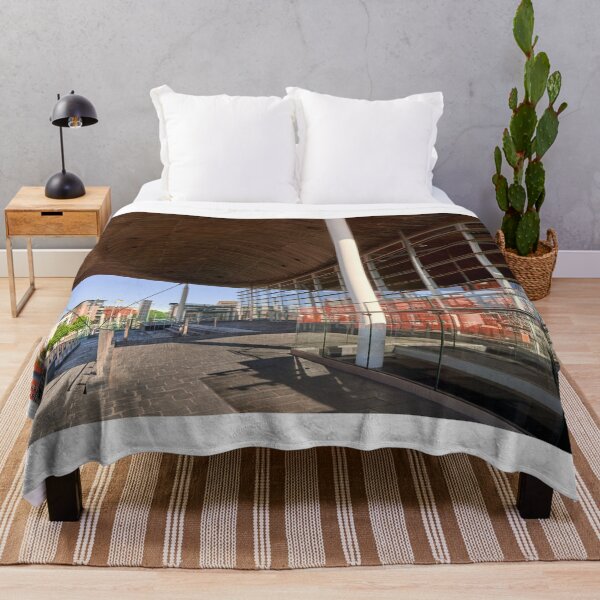 Item preview, Senedd Welsh Parliament Architecture in Cardiff designed and sold by VnGphoto.