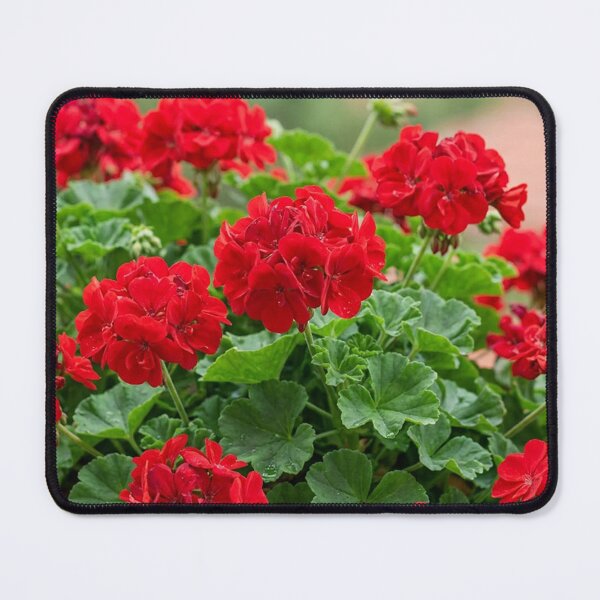 Item preview, Flowers – geranium designed and sold by snoWorkshop.