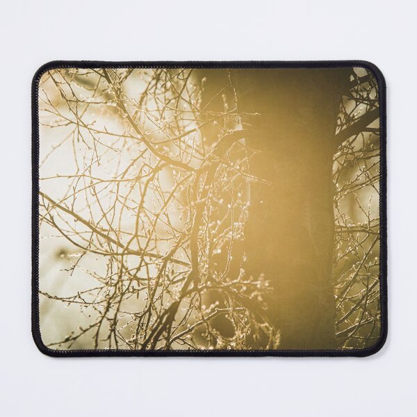 Item preview, P-018 designed and sold by Ivan Tomić.