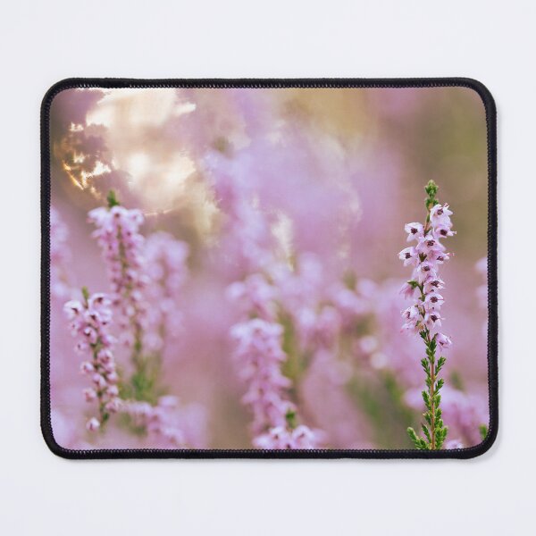 Item preview, Sunlit Purple Heather Flowers in Bloom designed and sold by Elżbieta  Kaps.