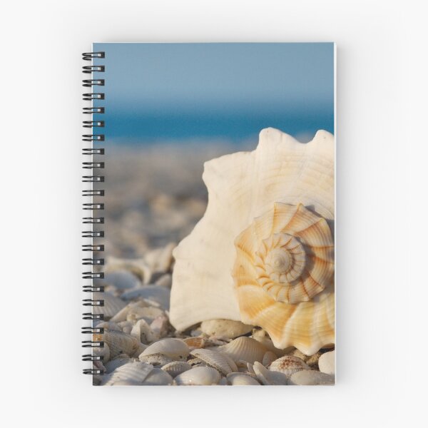 Item preview, Large Conch Seashell on Shell Beach Coastal Photography designed and sold by PetalsPaws.