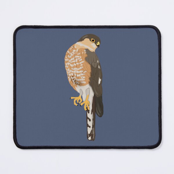 Item preview, Sharp Shinned Hawk designed and sold by BDBirds.