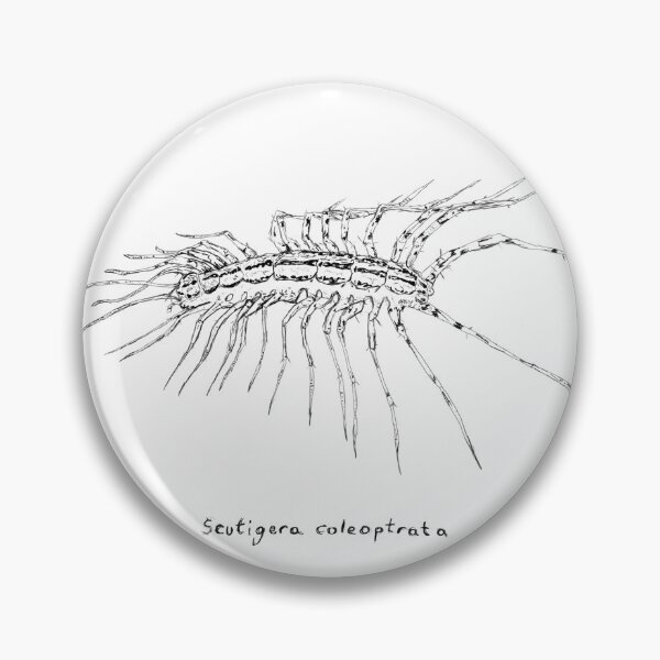 Item preview, House Centipede designed and sold by GeorgeNyx.