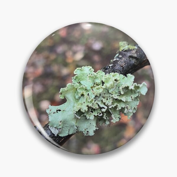 Item preview, Lichen on a Stick designed and sold by Oxymoronic Madness.